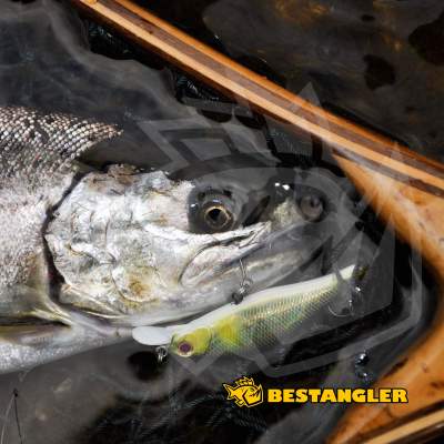 DECOY Single 28 Troutin’ #8 - 808955