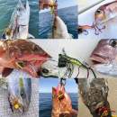 Little Jack Ebinem 30g #05 Matt Real Prawn