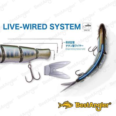 Megabass Spine-X 190F FA ITO Kawamutsu - 4