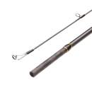 Hearty Rise Wanderer 2.30 m 5 - 21 g - WD-764ML
