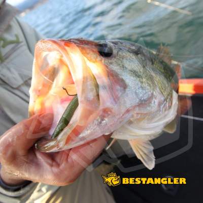 DECOY Worm 23 Body Hook #10 - 819678