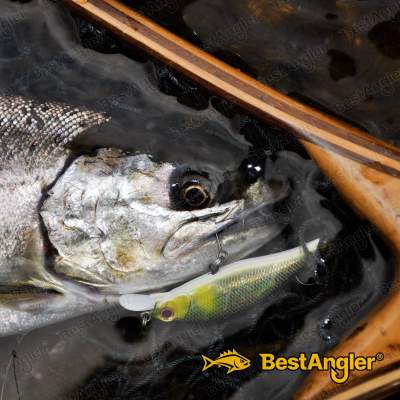 DECOY Single 28 Troutin’ #6 - 808962