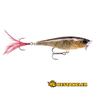 Rapala Skitter Pop 05 Live Field Mouse - SP05 FML