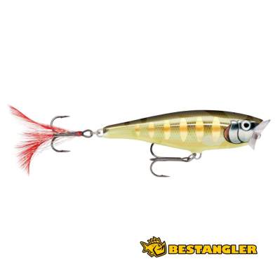 Rapala Skitter Pop 05 Striped Grey Shiner - SP05 STGS