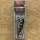 Rapala Shad Rap 07 Live Hologram Perch - SR07 PEHL