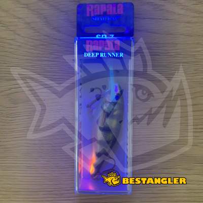 Rapala Shad Rap 07 Live Hologram Perch - SR07 PEHL - UV