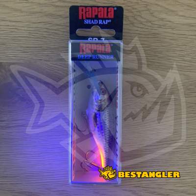 Rapala Shad Rap 07 Live Hologram Roach - SR07 ROHL - UV