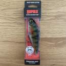 Rapala Super Shadow Rap 11 Live Perch - SSDR11 PEL