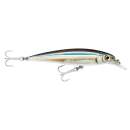 Rapala X-Rap Saltwater 10 Anchovy - SXR10 ANC