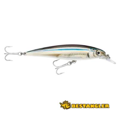 Rapala X-Rap Saltwater 10 Anchovy - SXR10 ANC