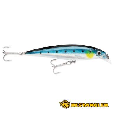 Rapala X-Rap Saltwater 10 Blue Sardine
