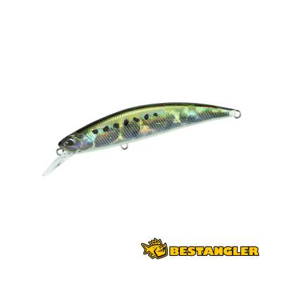 DUO Spearhead Ryuki 80S SW LIMITED Sardine Noir