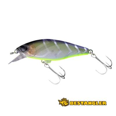 MSG Rapala BX Minnow 10 Fishing Lure, Silver, 4-Inch