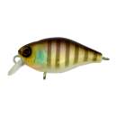 Jackall Chubby 38F Noike Gill