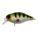 Jackall Chubby 38F HL Perch