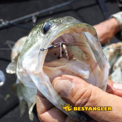 DECOY Worm 117 HD Hook Offset #2 - 818251