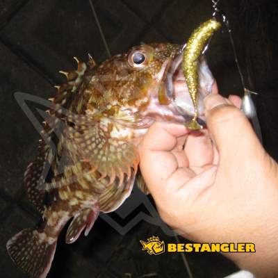 DECOY Worm 117 HD Hook Offset #1 - 818268