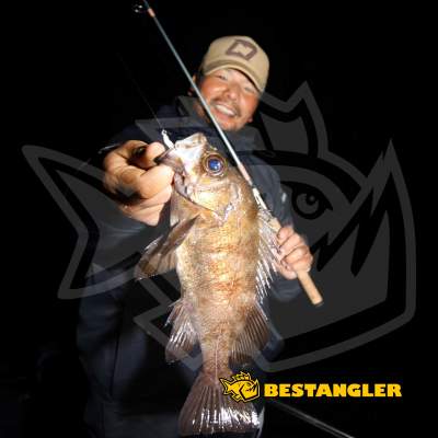 DECOY SV-52 Round Magic #6