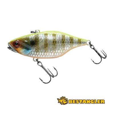 Jackall TN50 Full Tungsten Uroko HL Chartback Bluegill