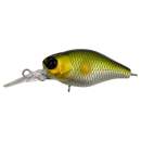 Jackall Chubby 38F MR AYU