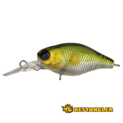 Jackall Chubby 38F MR AYU