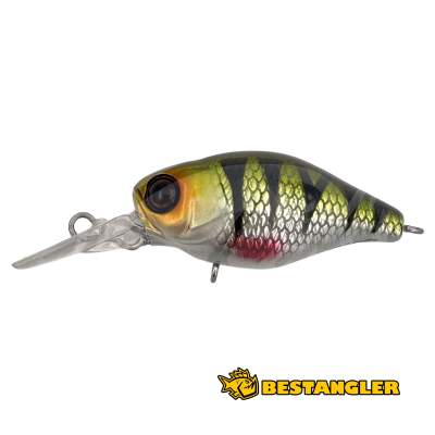 Jackall Chubby 38F MR HL Perch