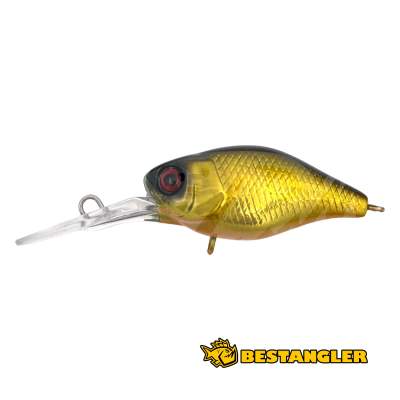 Jackall Chubby 38F D HL Gold & Black