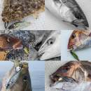 Little Jack Metal Adict 06 150g #04 Blue Pink Maru-Aji