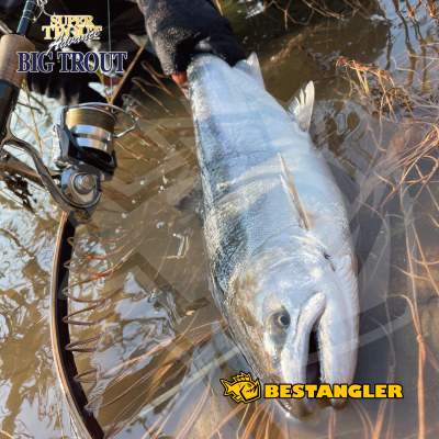 Varivas Super Trout Advance Big Trout 150 m