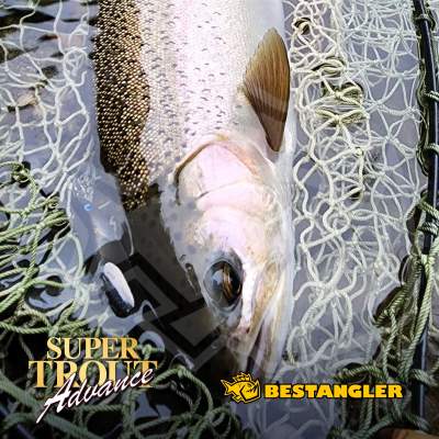 Varivas Super Trout Advance 100 m