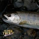 Varivas Super Trout Advance 100 m