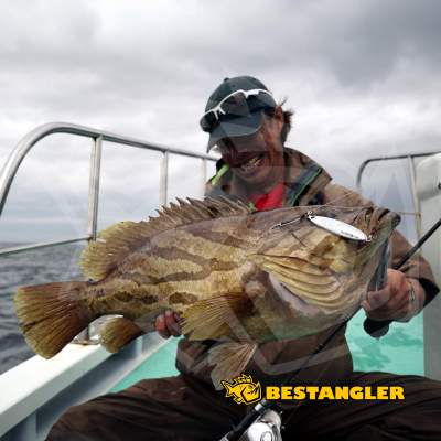 DECOY DJ-88 Twin Pike