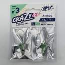 Fiiish Crazy Sand Eel n°3 150 mm Heads Shore 2x - 10g - Pearl Green - CSE220