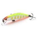 Jackson Meteora 45 CYW