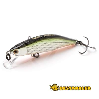 Jackson Meteora 52 TSD