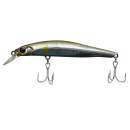 Jackson Artist FR80 SAY