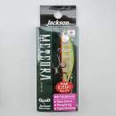 Jackson Meteora 52 CYW