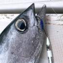 Varivas Ocean Works Assist Leader SMP