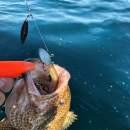 DECOY WL-11S Blade Leader Silver