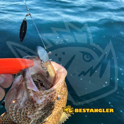 DECOY WL-11S Blade Leader Silver