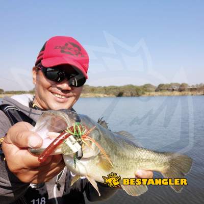 DECOY ZF-1 Zero-Dan Flash Offset