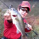 DECOY ZF-1 Zero-Dan Flash Offset