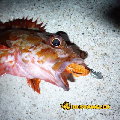 DECOY SV-45 Slide Bomb