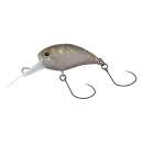 Jackall Timon Kibipani MR Tackey BP Ghost Brown