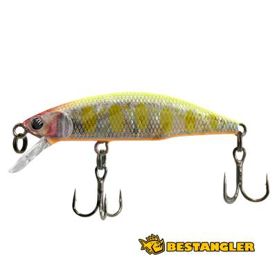 Jackson Meteora 45 CYW