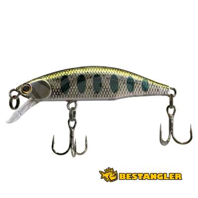 Jackson Meteora 45 RY III