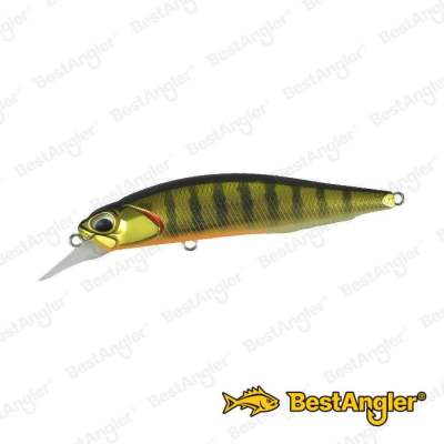 DUO Realis Rozante 77SP Gold Perch ASA3146