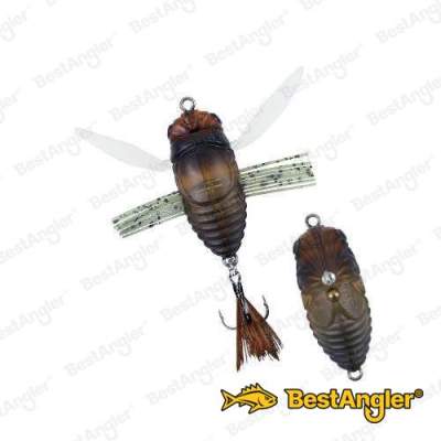 DUO Realis Shinmushi Semigara CCC3203