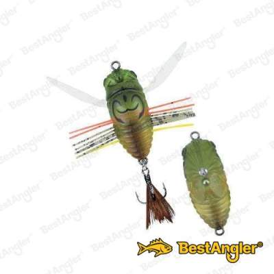 DUO Realis Shinmushi Haruzemi CCC3202
