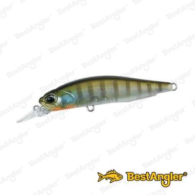 DUO Realis Rozante 63SP Ghost Gill CCC3158